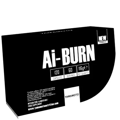 ai-burn ai-burn