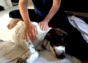 ízületek arthritis