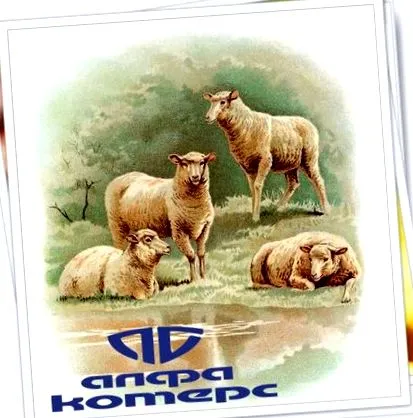 megfelelő megfelelő