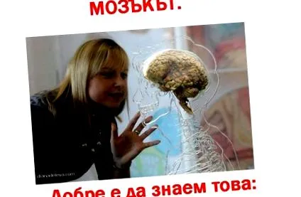 agynak napi tudni
