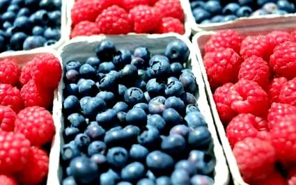 antioxidáns tisztításához