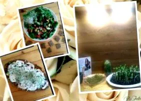 blog egészséges