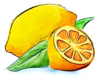 organic étrend-kiegészítő üzletről