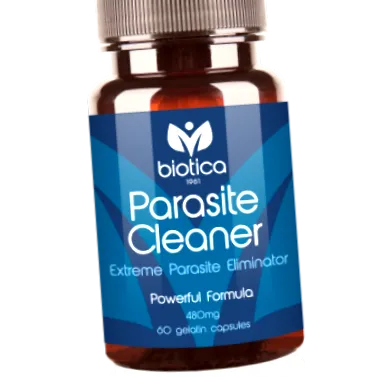 parasite parasite