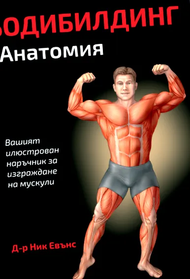 hogyan kell testépítő
