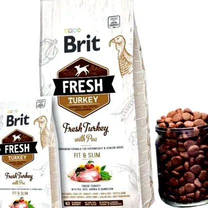 friss brit