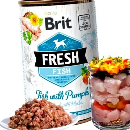brit brit