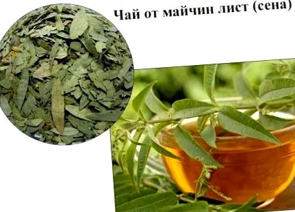 motherwort motherwort