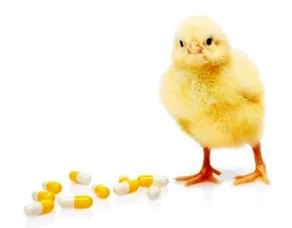előnyei vitaminok