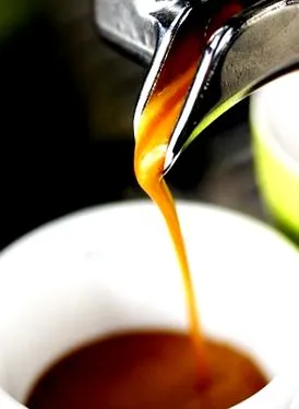gaggia
