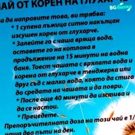 gyógynövény pitypang