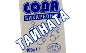 lásd lásd