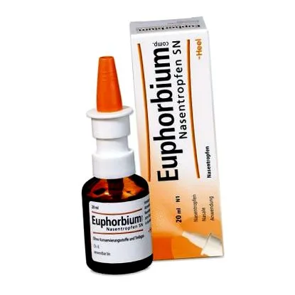 euphorbium euphorbium