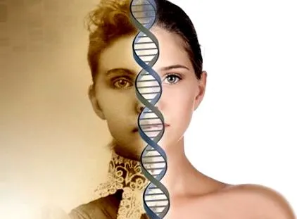 epigenetikus hogy