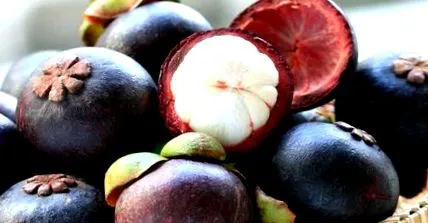 garcinia alkalmazásához