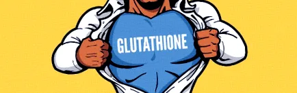 legerősebb glutation