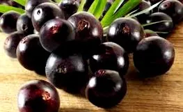 acai fogyókúrás