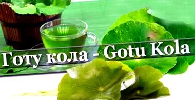 kola-kúra narancsbőrre