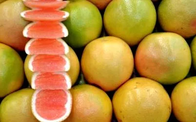 fontokat grapefruit