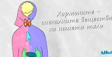 testünk test