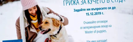 időben gondozása