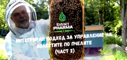 megközelítés megközelítés