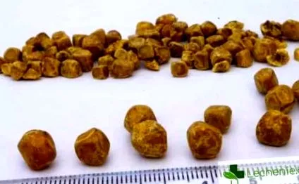 nedvekkel nedvekkel