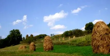 széna hogyan