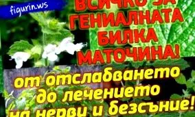készítsünk készítsünk