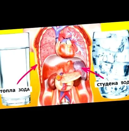 nőknek milyen