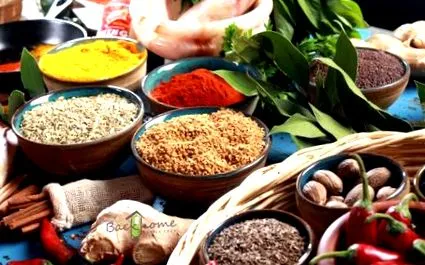 ánizs vagy masala
