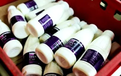 harmonica kefir