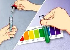 terhelése test