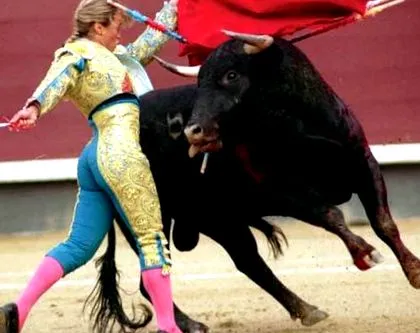 bolgár