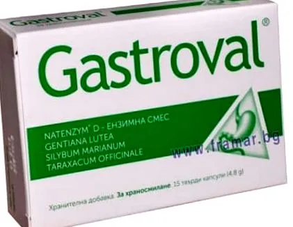 gastroval gastroval