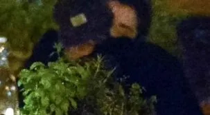 életmóddal