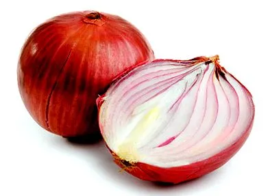 antibiotikum optima