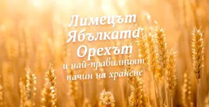 einkorn étkezés