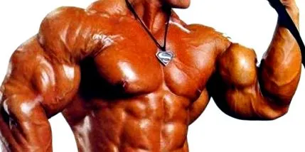Myostatin izomtömeg Myostatin izomtömeg