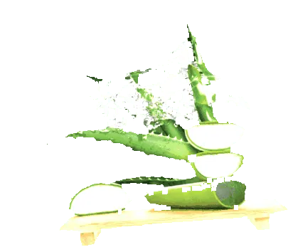 hogyan aloe