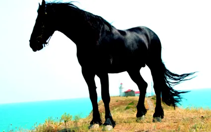 emine-ig emine-ig