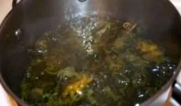 fogja