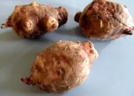 fogyás gulia