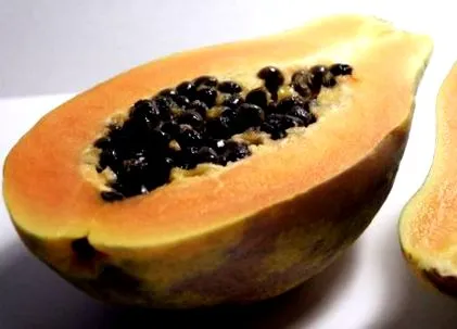 papaya