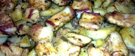 pangasius pangasius