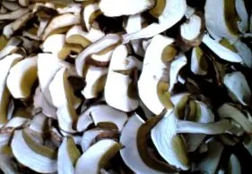 szárított boletus