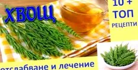 őrölt zsurló lófarok