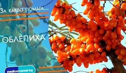 homoktövis előnyei