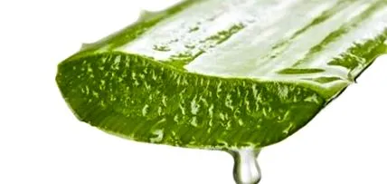 vera aloe