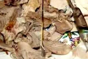pulyka alacsony
